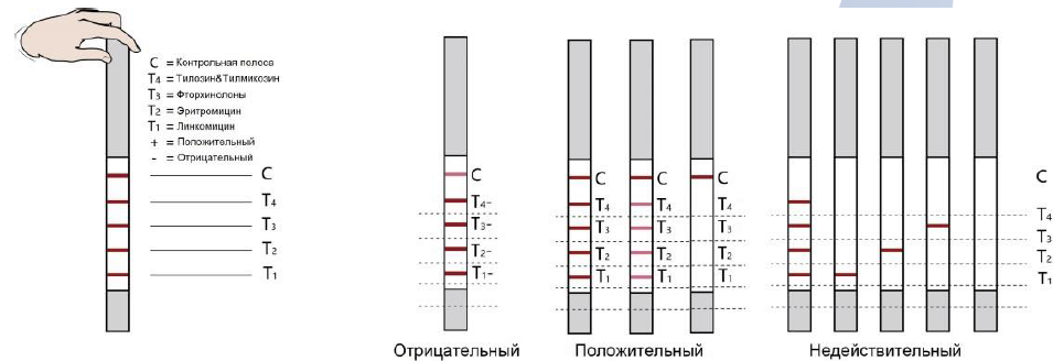 Тест молока