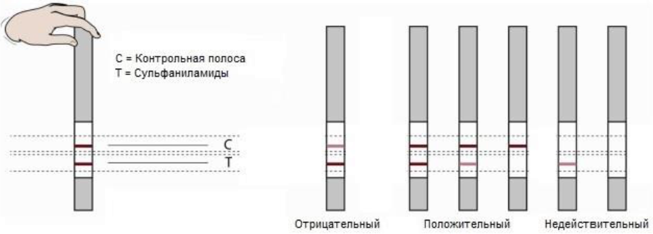 Контрольная линия. Тестовая полоска и контрольная. Контрольная полоска на тесте. Тест линия и контрольная линия.