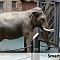 Реконструкция и оснащение вольеров электропастухами для Московского Зоопарка